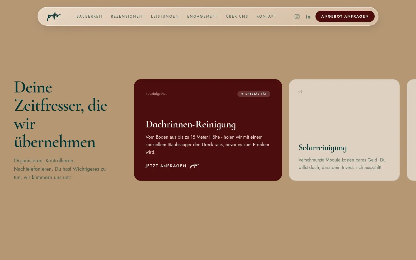 Leistungen mit der Dachrinnenreinigung als Spezialität, gepflegt über ACF Pro