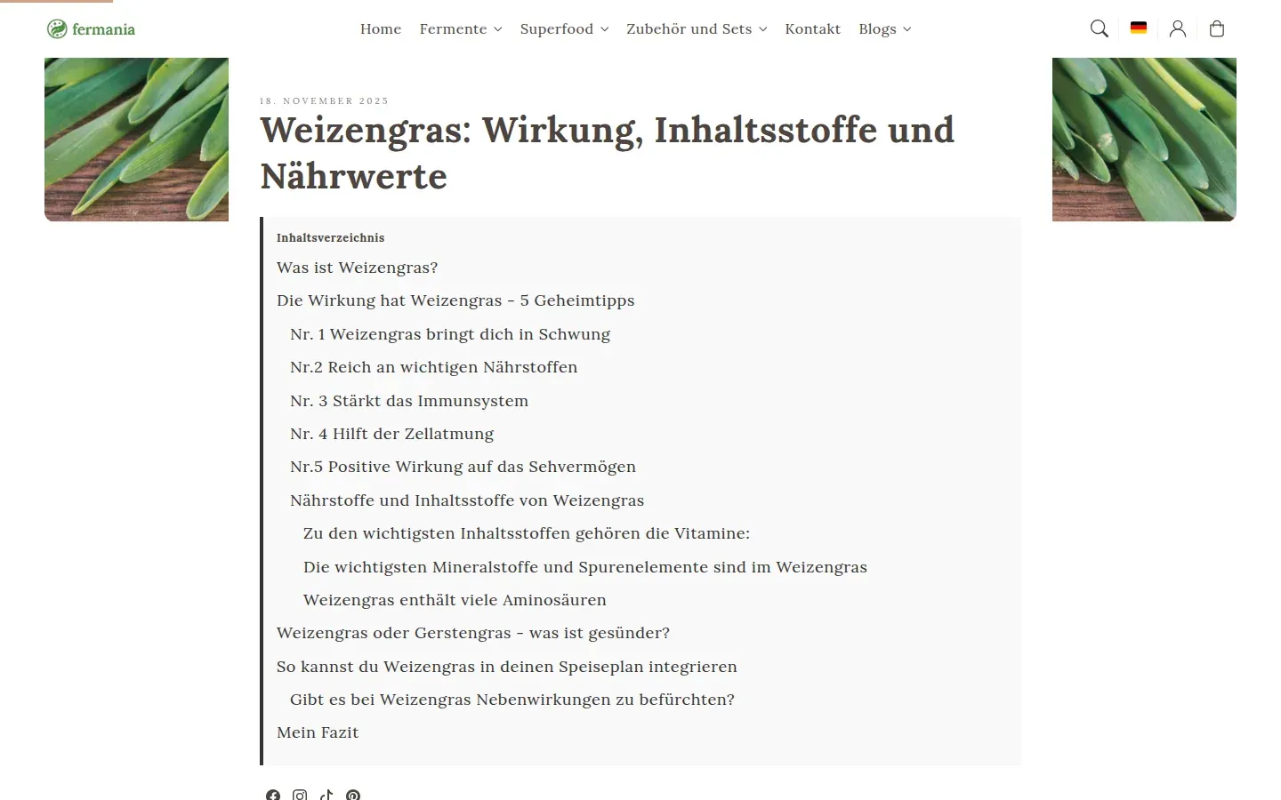Magazin mit automatischem Inhaltsverzeichnis, FAQ mit Suche beim Tippen