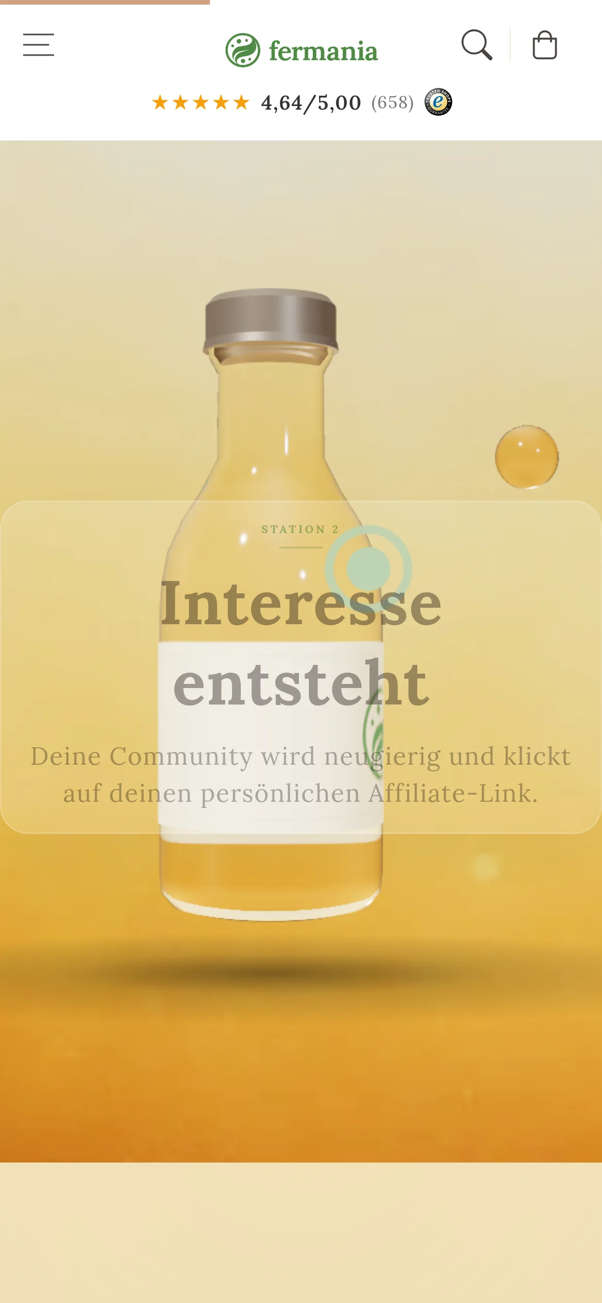 Landingpage für das Partnerprogramm (Handy)