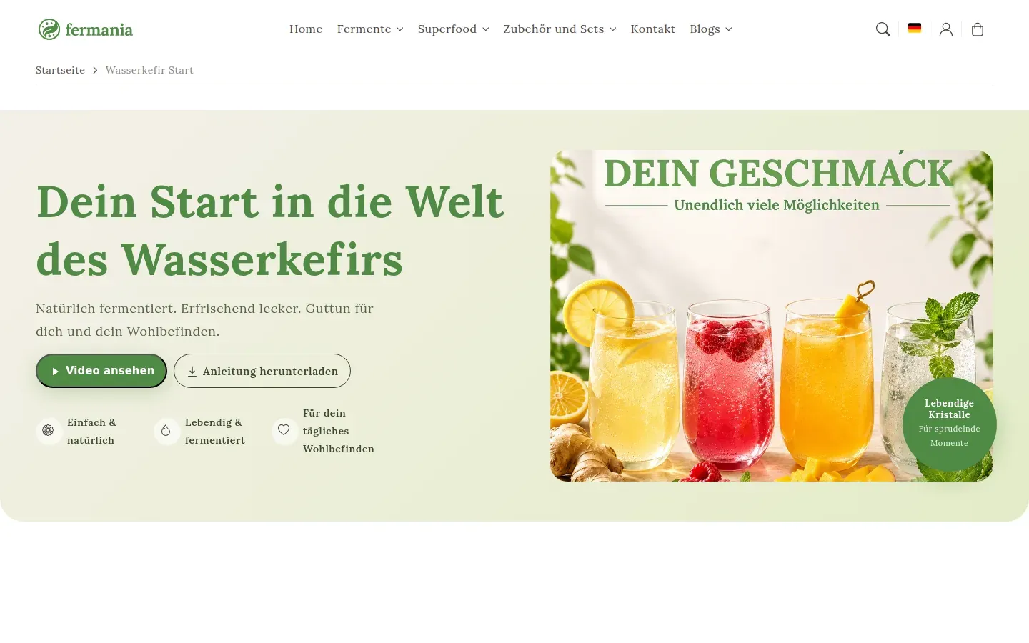 Neu dazugekommen: Einstiegsseite für Wasserkefir mit Video-Anleitung